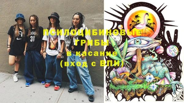 крисы Абинск