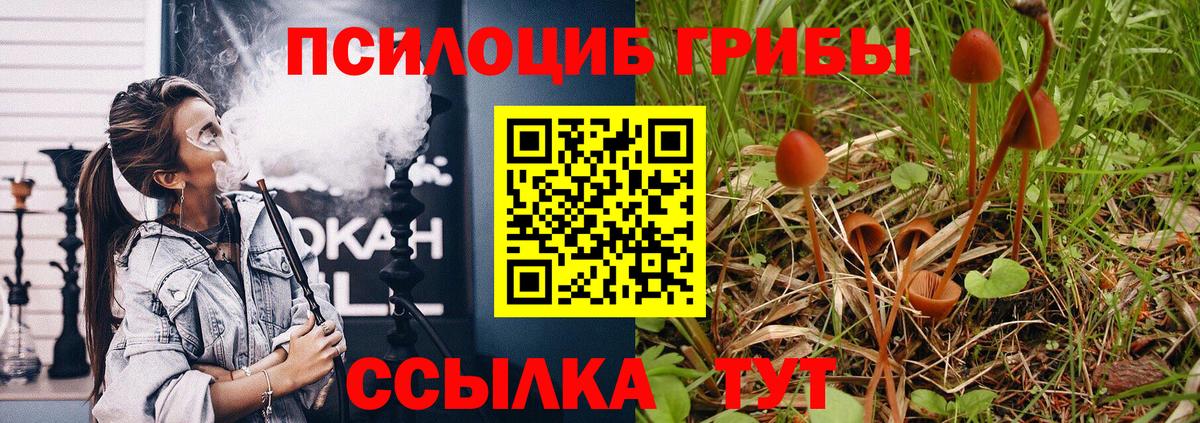 Галлюциногенные грибы Psilocybe  Галлюциногенные грибы мицелий  Вход с VPN  Зерноград 